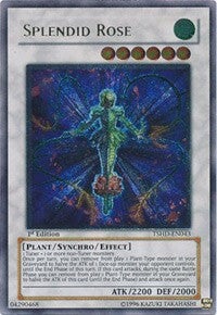 Splendid Rose (UTR) [TSHD-EN043] Ultimate Rare | Exor Games New Glasgow