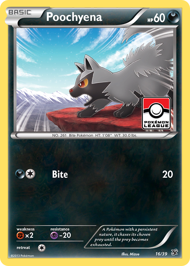 Poochyena (16/39) [XY: Kalos Starter Set] | Exor Games New Glasgow