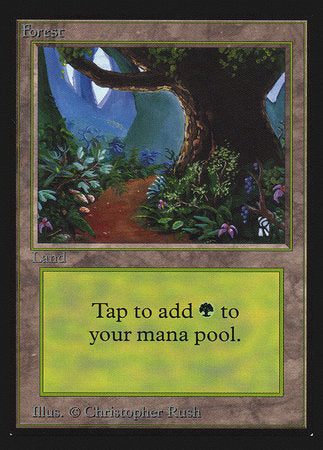Forest (B) (CE) [Collectors’ Edition] | Exor Games New Glasgow