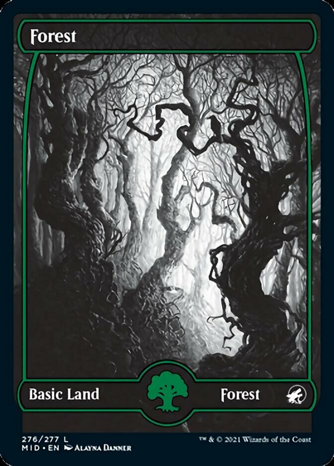 Forest (276) [Innistrad: Midnight Hunt] | Exor Games New Glasgow