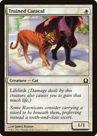 Trained Caracal [Return to Ravnica] | Exor Games New Glasgow