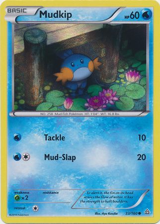 Mudkip (33/160) (Sheen Holo) [XY: Primal Clash] | Exor Games New Glasgow