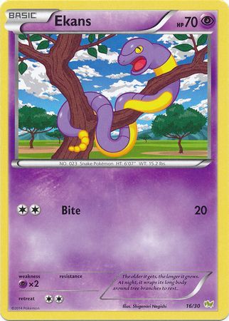 Ekans (16/30) [XY: Trainer Kit - Noivern] | Exor Games New Glasgow