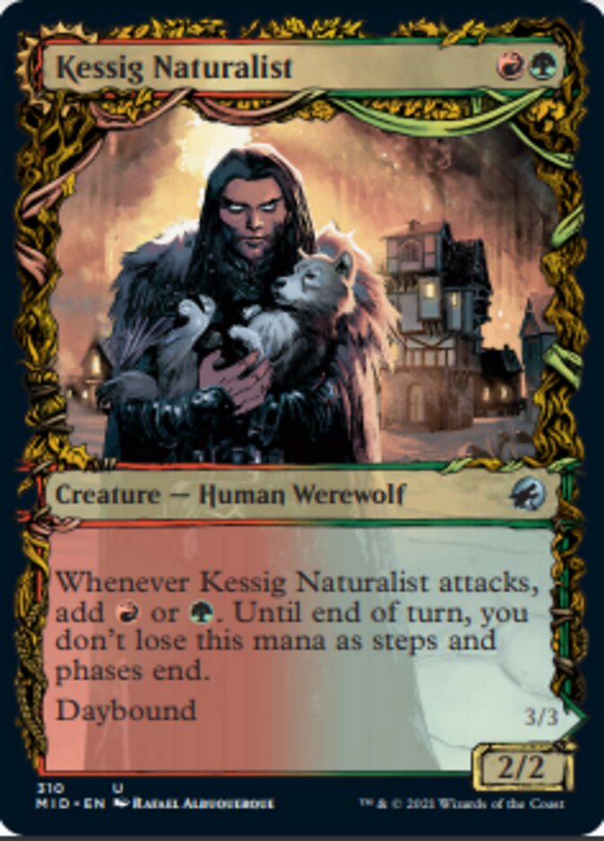 Kessig Naturalist // Lord of the Ulvenwald (Showcase Equinox) [Innistrad: Midnight Hunt] | Exor Games New Glasgow