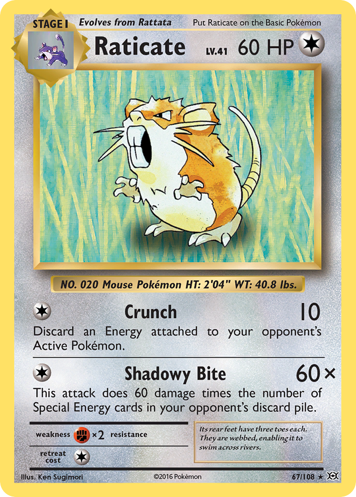 Raticate (67/108) [XY: Evolutions] | Exor Games New Glasgow