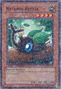 Naturia Beetle [DT02-EN007] Common | Exor Games New Glasgow