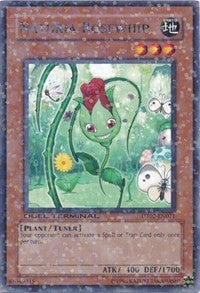 Naturia Rosewhip [DT02-EN071] Rare | Exor Games New Glasgow