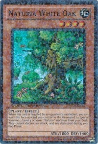 Naturia White Oak [DT04-EN081] Super Rare | Exor Games New Glasgow