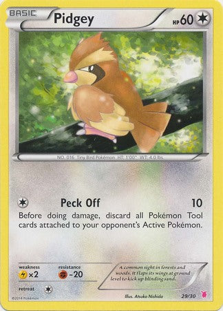 Pidgey (29/30) [XY: Trainer Kit 1 - Wigglytuff] | Exor Games New Glasgow