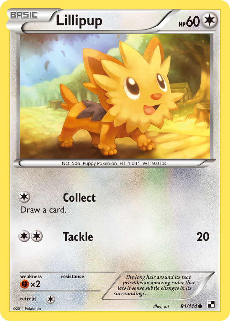 Lillipup (81/114) [Black & White: Base Set] | Exor Games New Glasgow