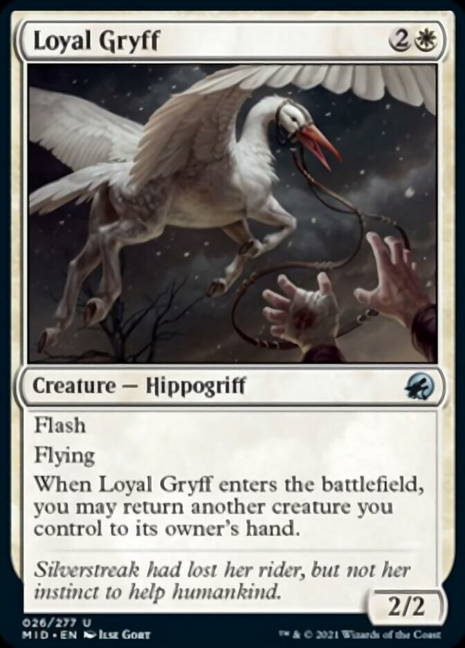 Loyal Gryff [Innistrad: Midnight Hunt] | Exor Games New Glasgow