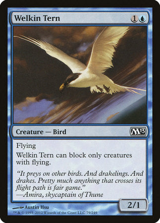 Welkin Tern [Magic 2013] | Exor Games New Glasgow