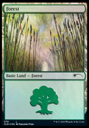 Forest (Elves) (579) [Secret Lair Drop Promos] | Exor Games New Glasgow