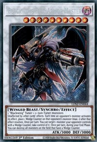 Blackwing Full Armor Master [LDS2-EN044] Secret Rare | Exor Games New Glasgow