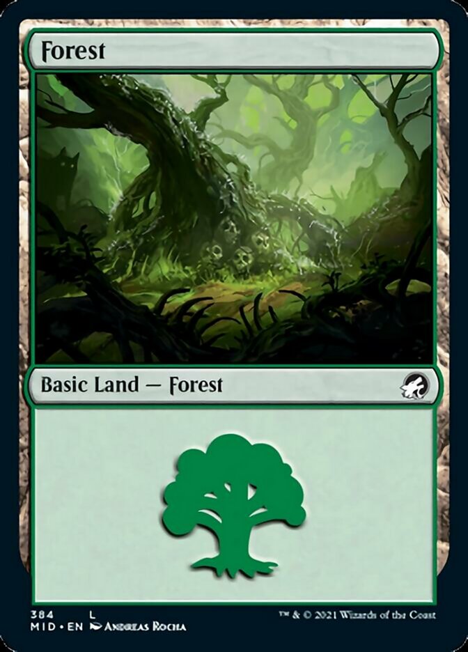 Forest (384) [Innistrad: Midnight Hunt] | Exor Games New Glasgow