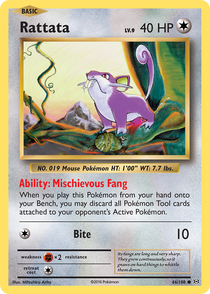 Rattata (66/108) [XY: Evolutions] | Exor Games New Glasgow