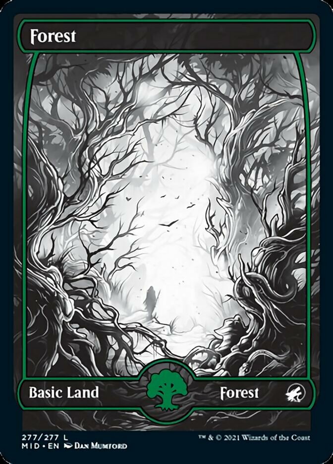 Forest (277) [Innistrad: Midnight Hunt] | Exor Games New Glasgow