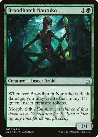 Broodhatch Nantuko [Masters 25] | Exor Games New Glasgow