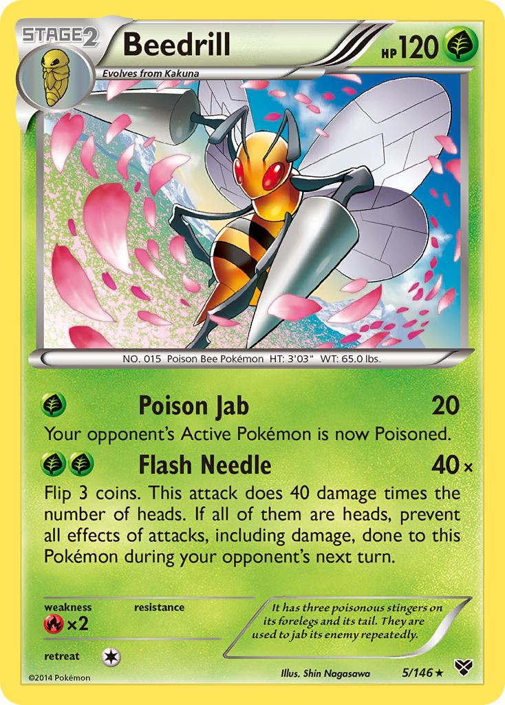 Beedrill (5/146) [XY: Base Set] | Exor Games New Glasgow