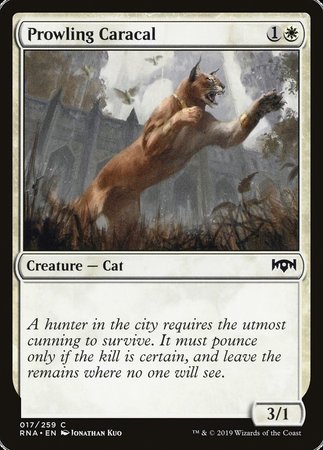 Prowling Caracal [Ravnica Allegiance] | Exor Games New Glasgow