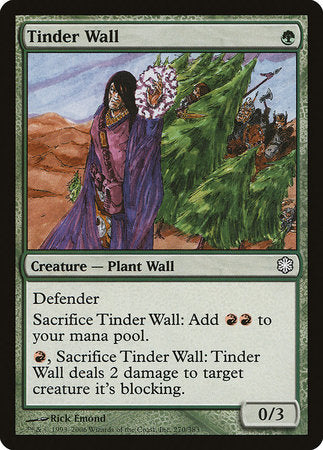 Tinder Wall [Coldsnap Theme Decks] | Exor Games New Glasgow