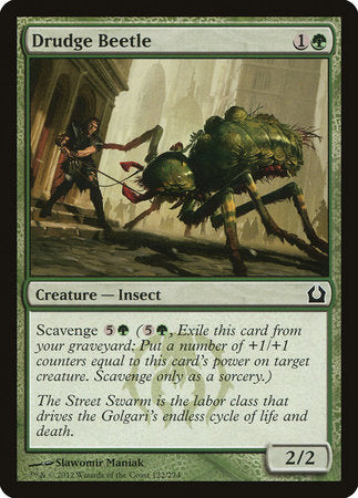 Drudge Beetle [Return to Ravnica] | Exor Games New Glasgow