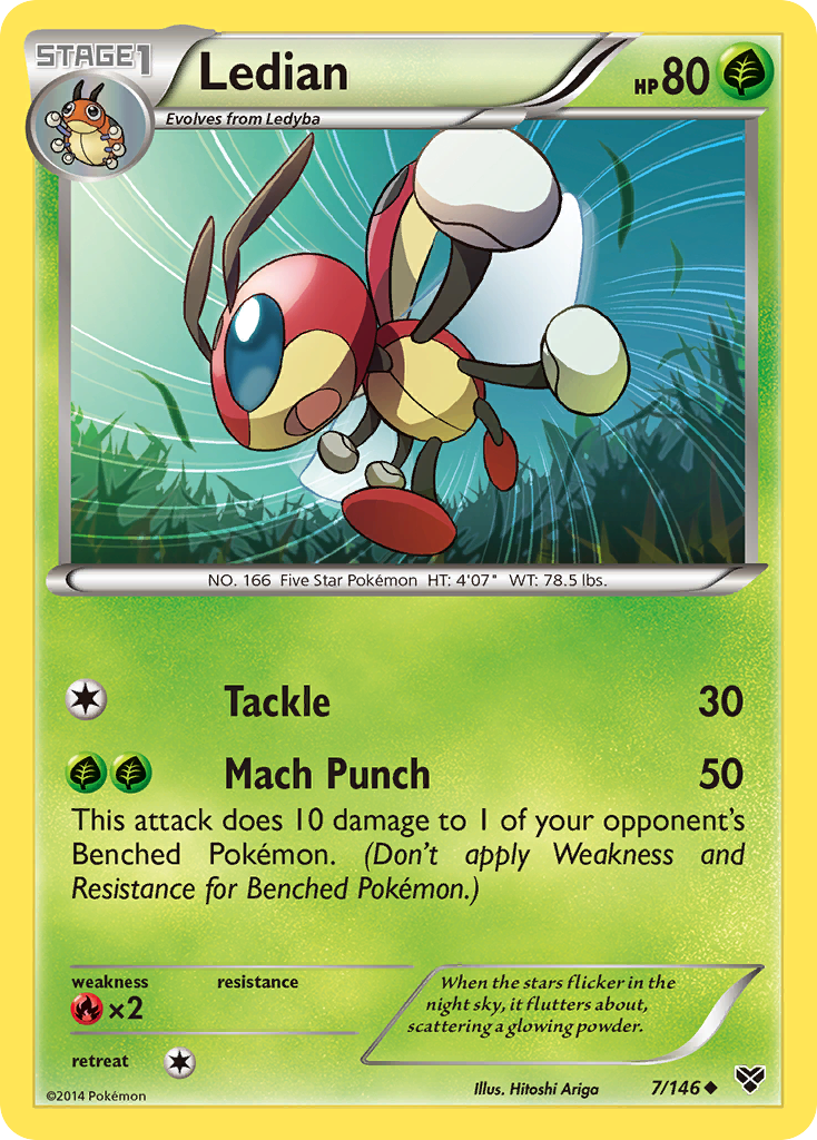 Ledian (7/146) [XY: Base Set] | Exor Games New Glasgow