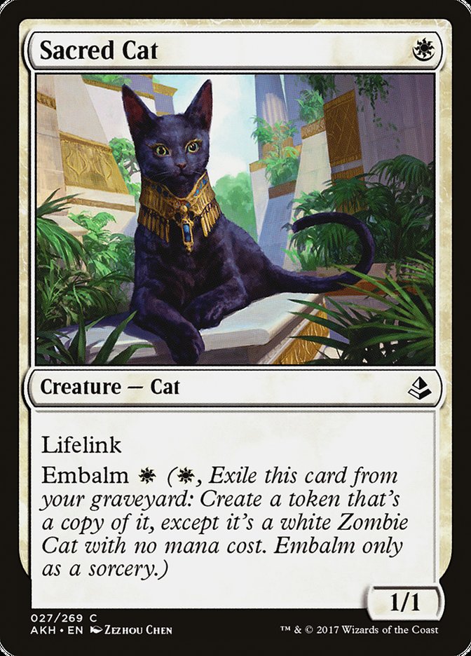 Sacred Cat [Amonkhet] | Exor Games New Glasgow