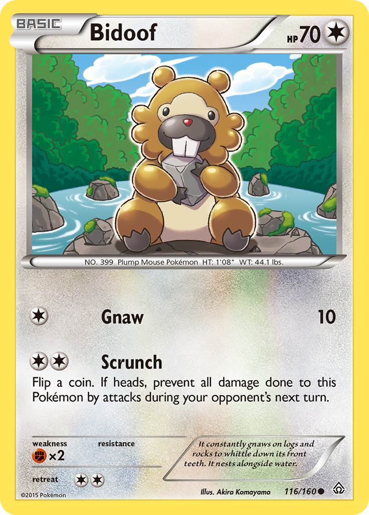 Bidoof (116/160) [XY: Primal Clash] | Exor Games New Glasgow